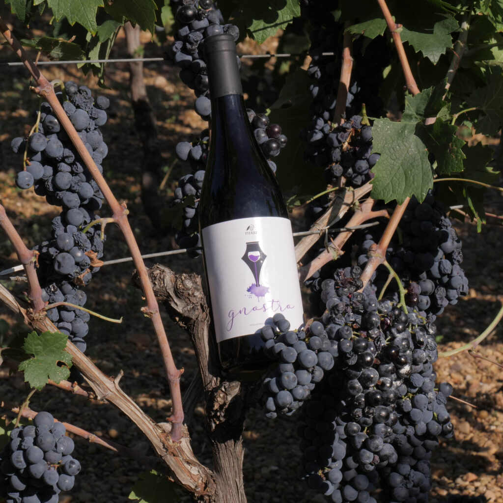 Vino Biologico